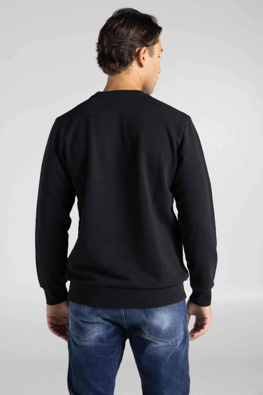 Sweater 100cot-null