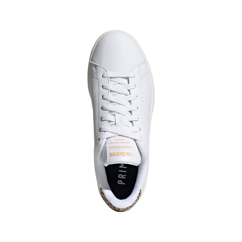 Product image: Advantage-null