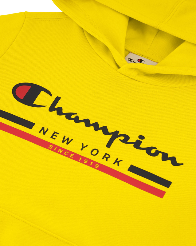 Champion boys hooded sweatshirt image number null