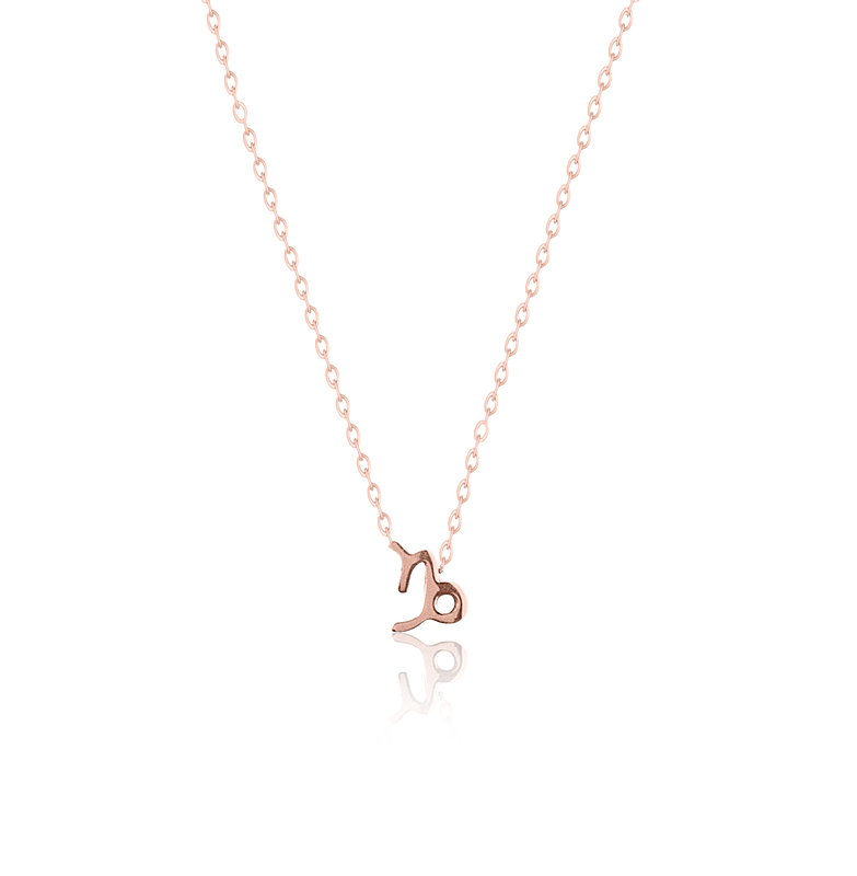 Capricorn - necklace image number null