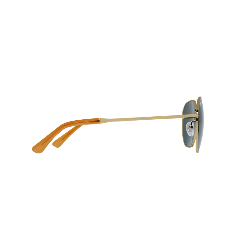 OJO sunglasses round gold frame and temples with green polarised lenses rx-null