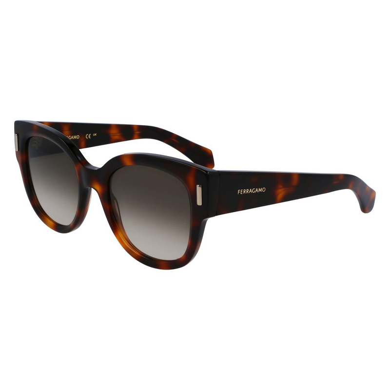 Brown acetate sunglasses-null