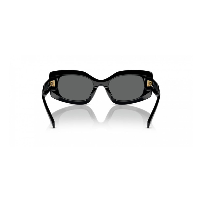Black acetate sunglasses-null