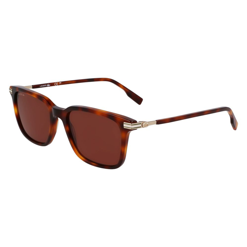 Brown acetate sunglasses-null