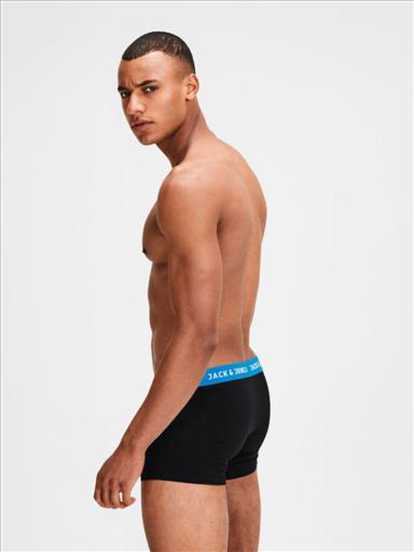 Jack jones jacrich trunks 2 pack image number null
