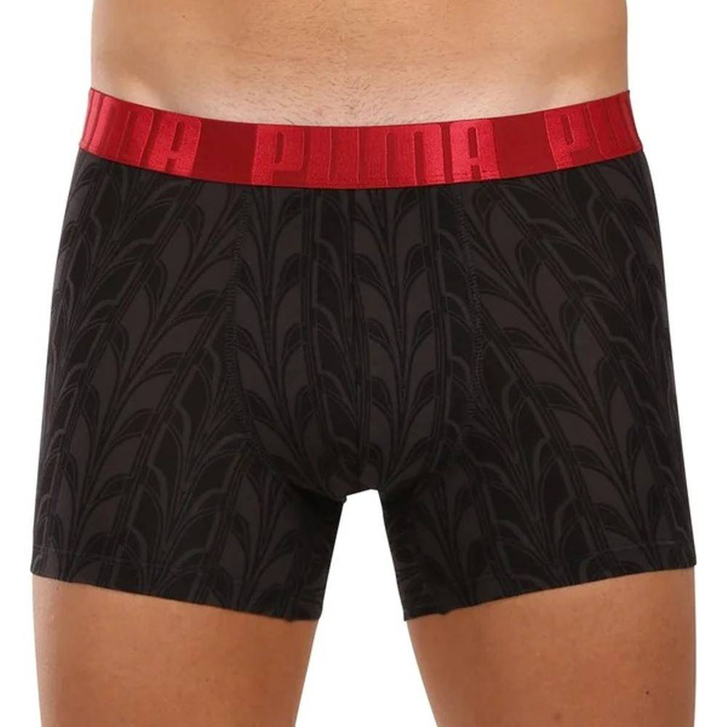 Men terrace print boxer 2p image number null