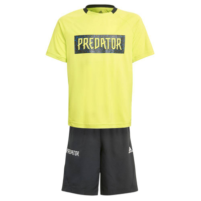 B aeroready pred set