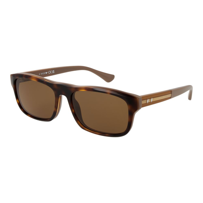 Brown acetate sunglasses-null