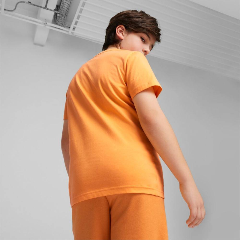 Essentials logo t-shirt b-null