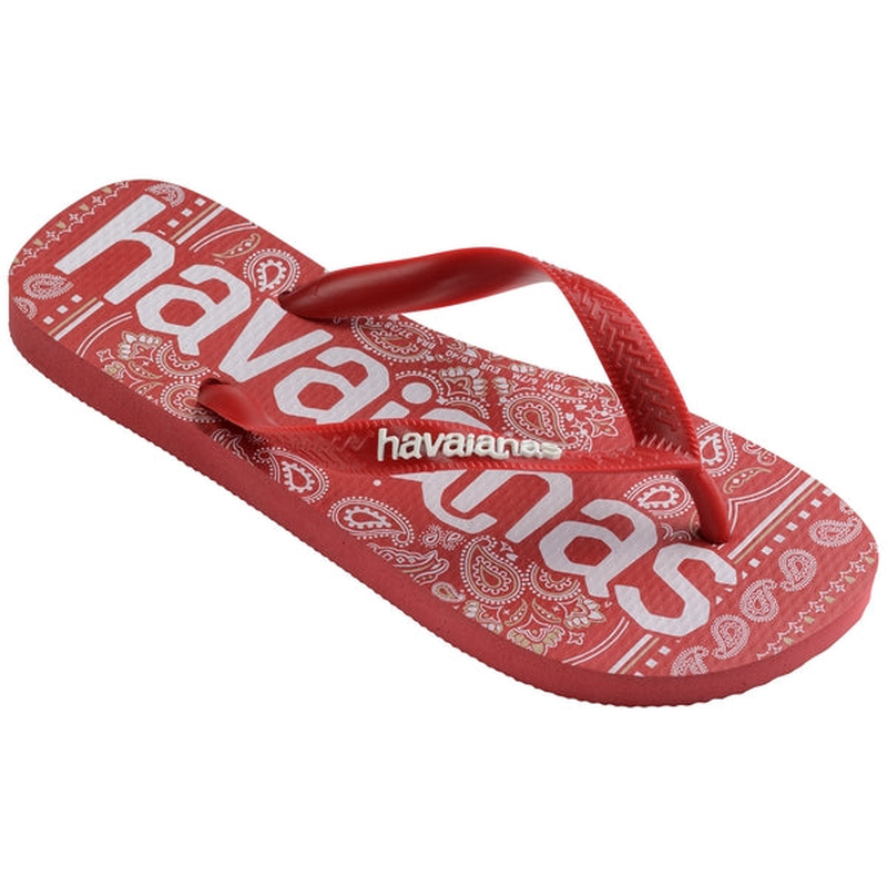 4148449 - havaianas men slipper summer-null