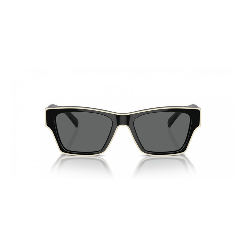 Black acetate sunglasses-null