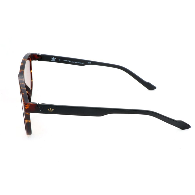 Bicolor acetate sunglasses-null