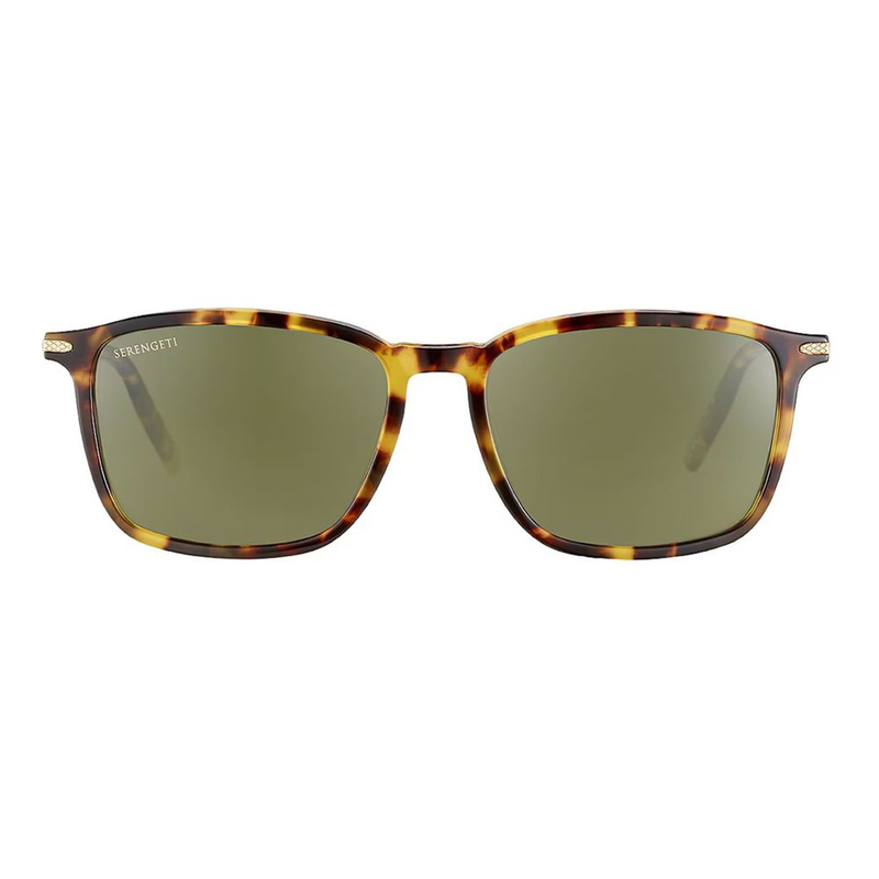 Brown resin sunglasses-null