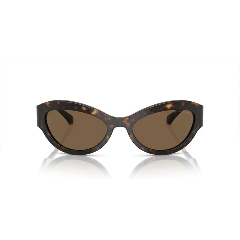 Brown acetate sunglasses-null