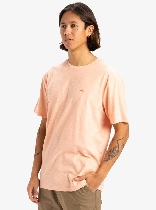 Quiksilver men's slub roundneck knit top-null