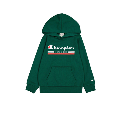Champion boys hooded sweatshirt green 306837-gs502
