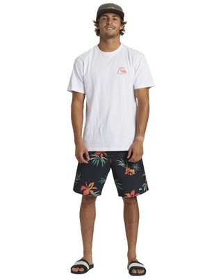 Quiksilver mens the original boardshort t-shirt, Wbb0-white, medium