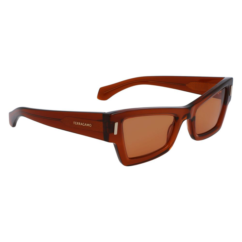 Brown acetate sunglasses-null