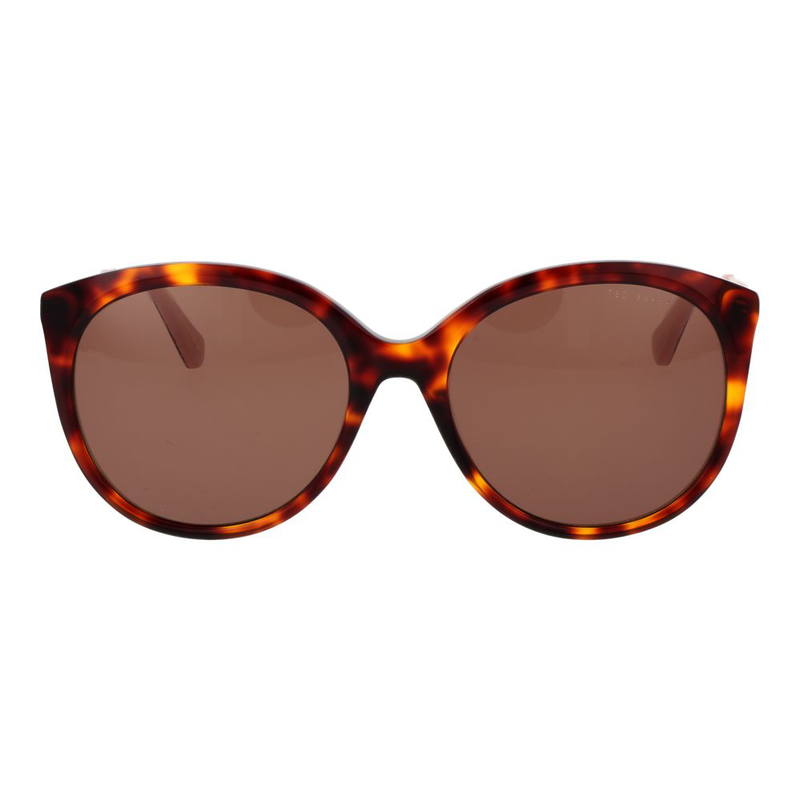 Brown acetate sunglasses-null