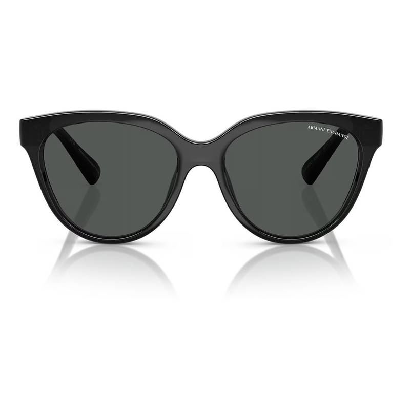 Gray injected sunglasses-null