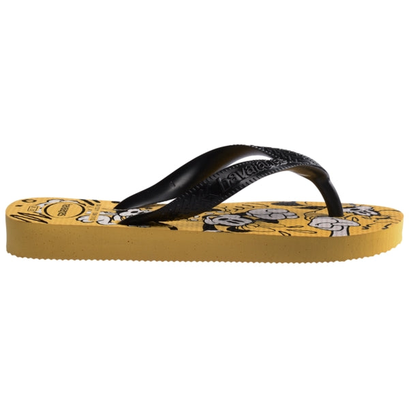 4150249 - havaianas-null