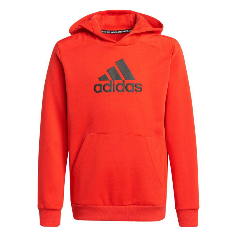 Boys badge of sports logo hoodie image number null
