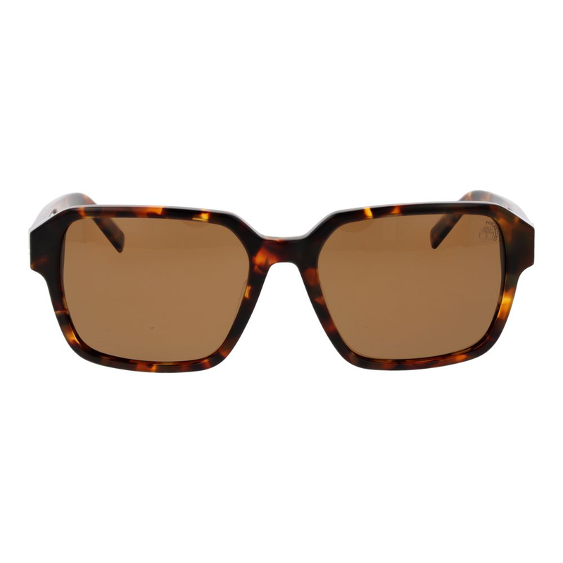 Brown acetate sunglasses-null