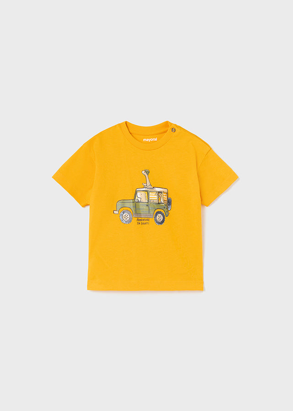 Basil t-shirt-null