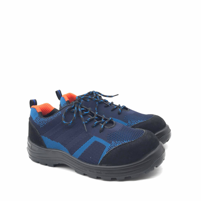 915 titan, Blue, medium