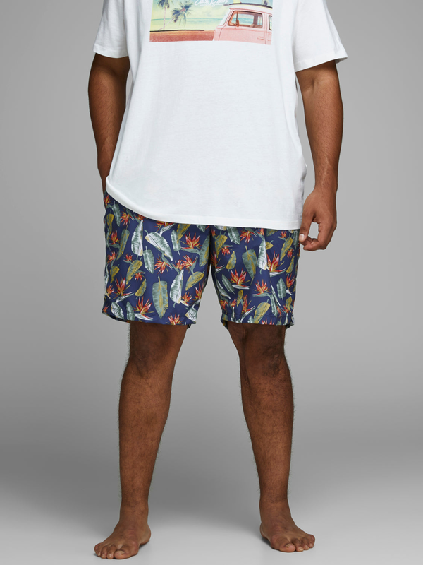 Product image: Jjicali swimshorts-null