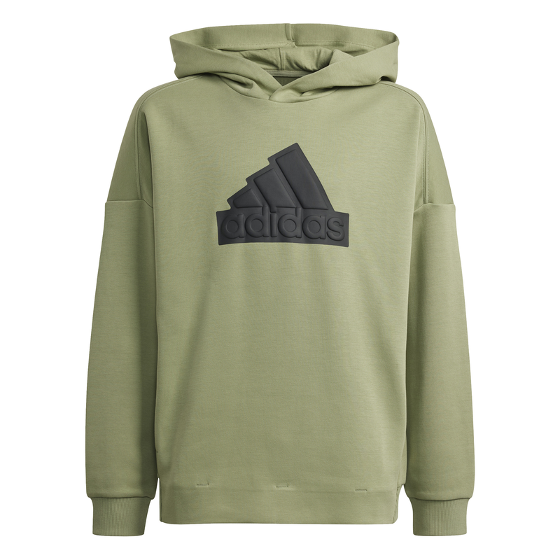 Product image: Adidas boys future icons logo hooded sweatshirt-null