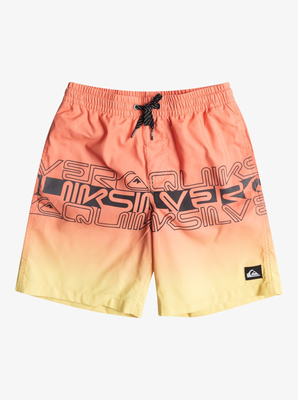 Quiksilver boy swimwear everyday wordblock vl youth 16 (eqbj, Fresh Salmon, medium