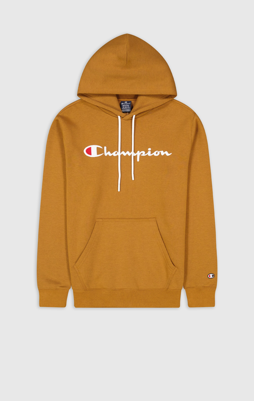Champion men hooded sweatshirt (219203)-brown-null