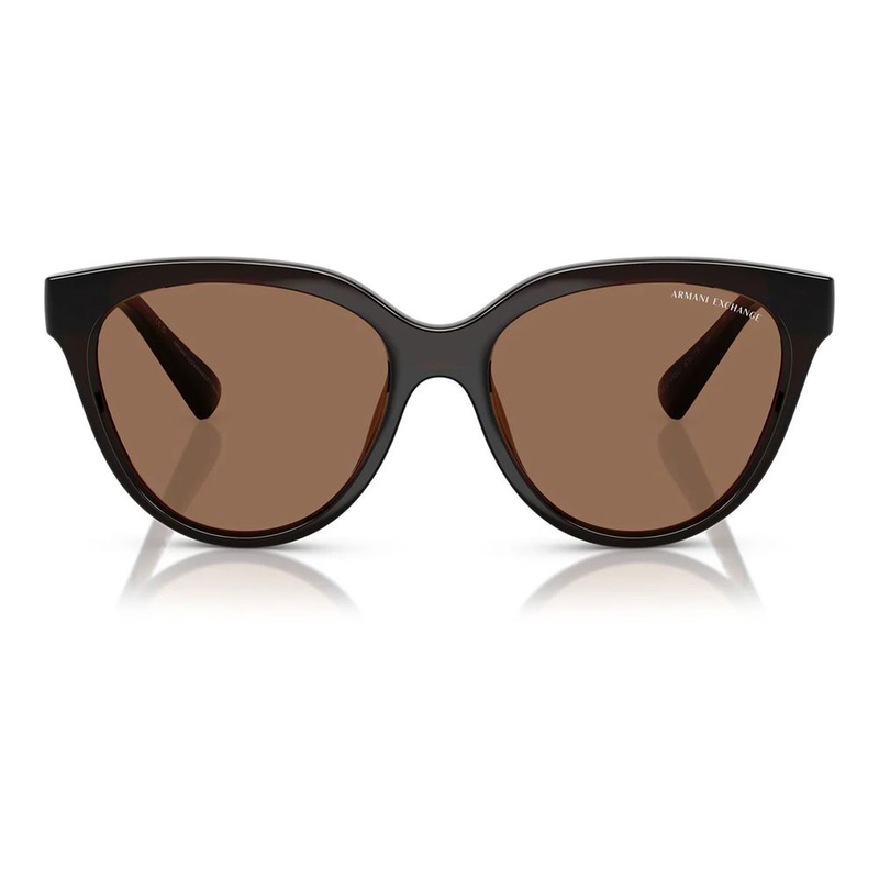 Brown injected sunglasses-null