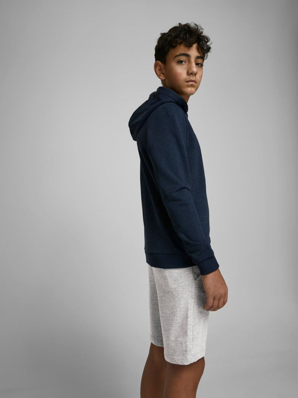 Product image: Jack&jones jpst shark jjsweat shorts at sn jnr-null
