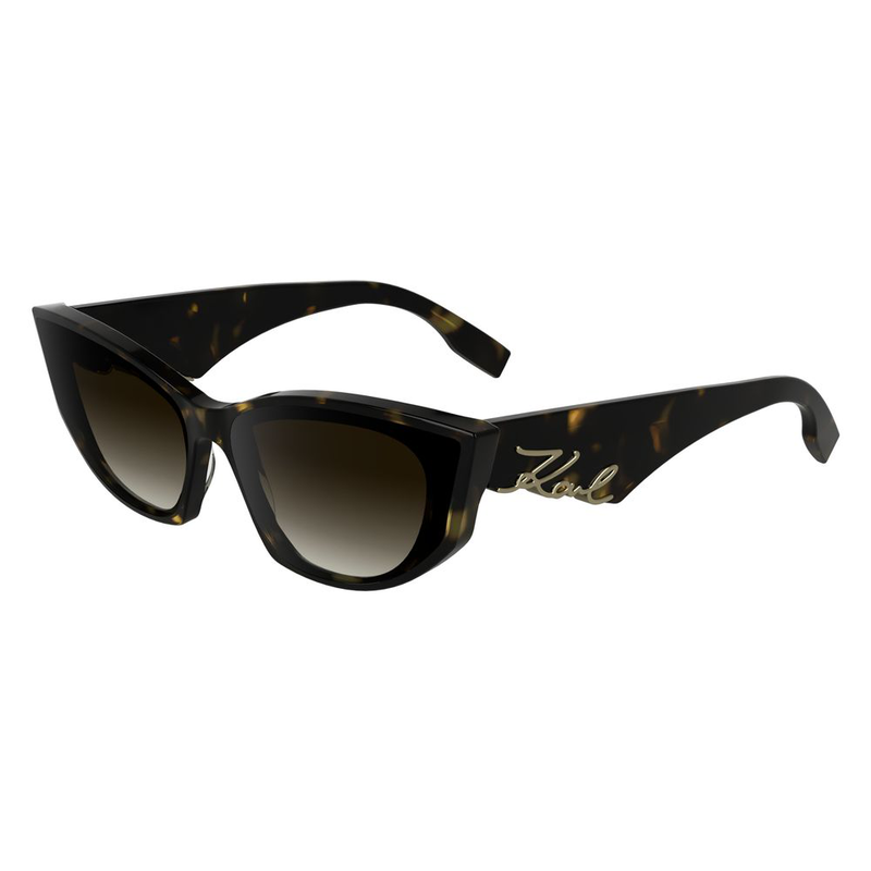 Black acetate sunglasses-null