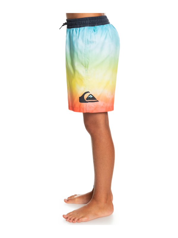 Quiksilver youth boys everyday faded logo 15" - swim shorts-null