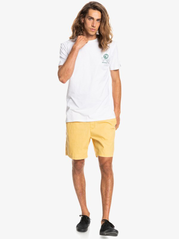 Quiksilver men new world - short sleeve t-shirt (eqyzt06661--null