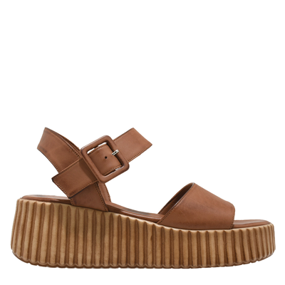 Tsakiris mallas &gamma;&upsilon;&nu;&alpha;&iota;&kappa;&epsilon;ί&alpha; &pi;&lambda;&alpha;&tau;&phi;ό&rho;&mu;&alpha;, Tampa &Delta;&epsilon;&rho;&mu;&alpha;, medium