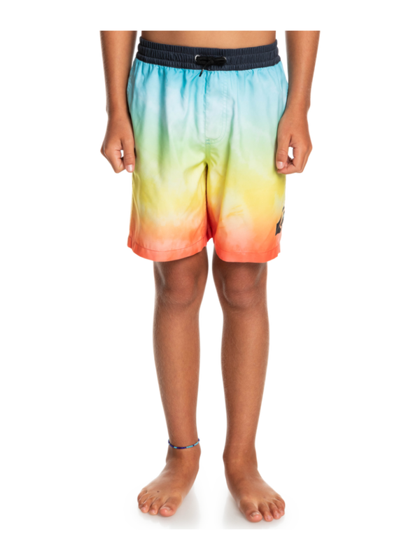 Quiksilver youth boys everyday faded logo 15" - swim shorts-null