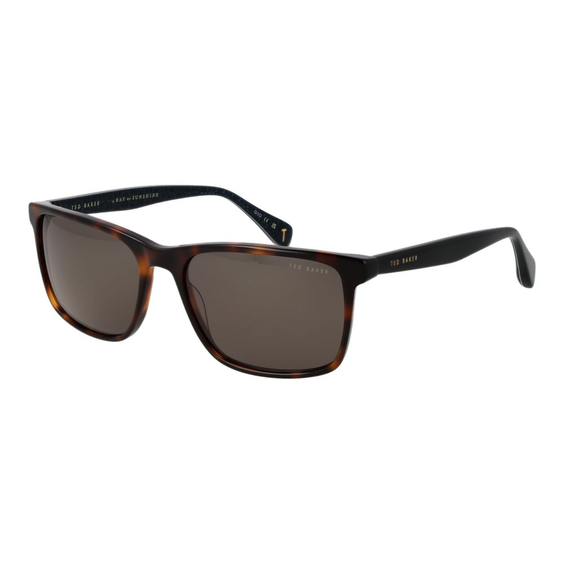 Brown acetate sunglasses-null