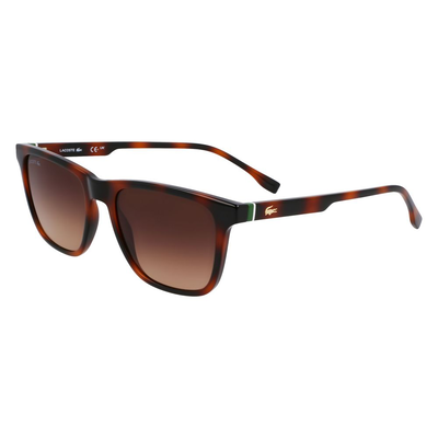 Brown injected sunglasses, Brown, medium