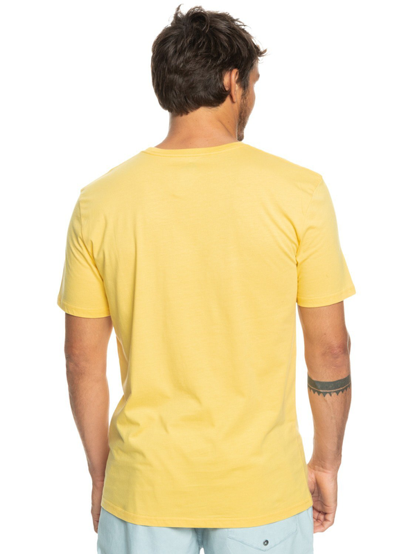 Quiksilver men t-shirts rockin skull ss (eqyzt07278-yfb0)-null