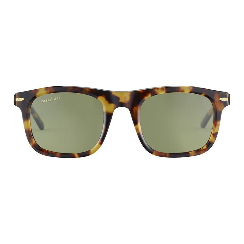 Brown acetate sunglasses-null