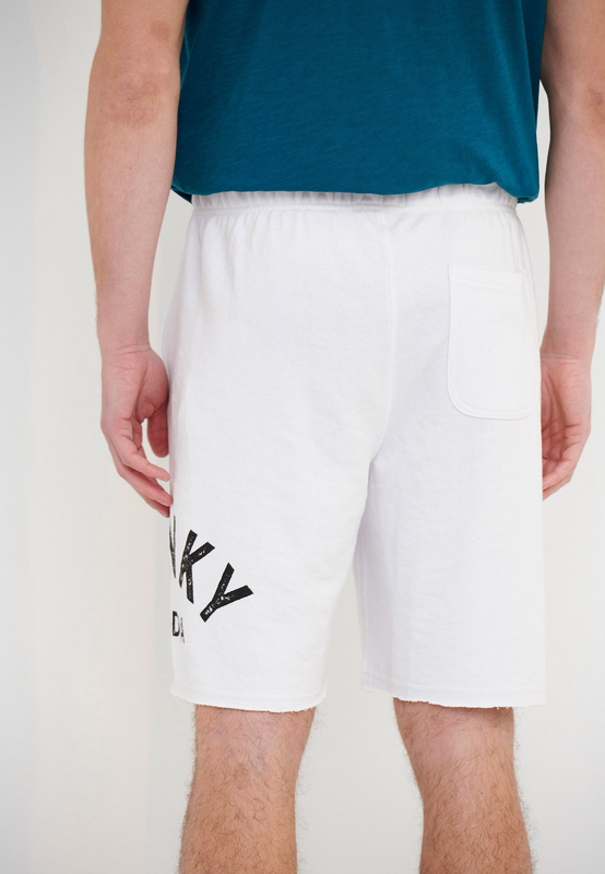 Funkybuddha swt shorts-null