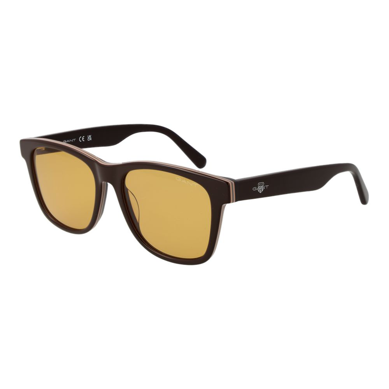 Brown acetate sunglasses-null