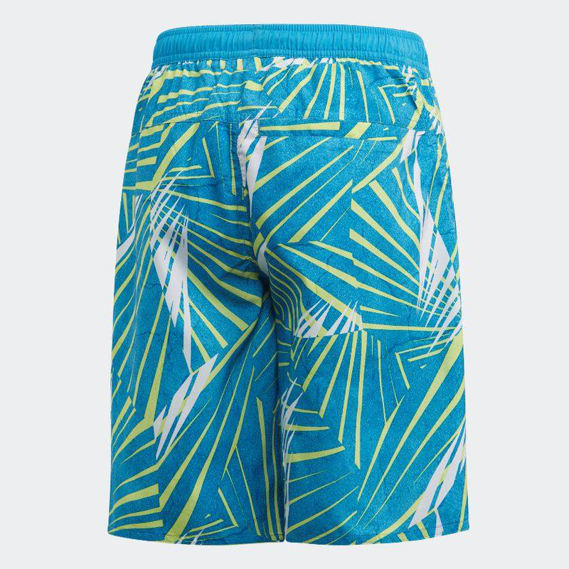 Boys board shorts-null