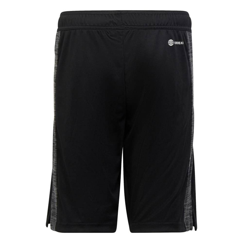 Product image: B ti heath sho-null
