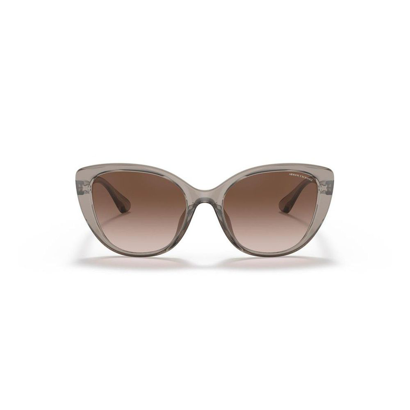 Brown injected sunglasses-null