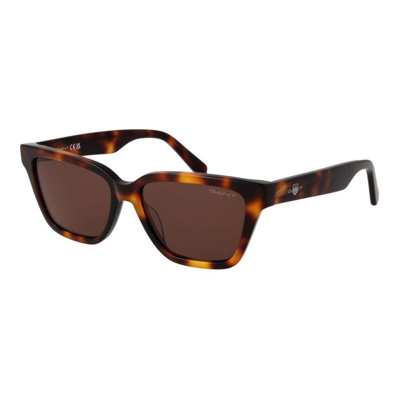 Brown acetate sunglasses-null